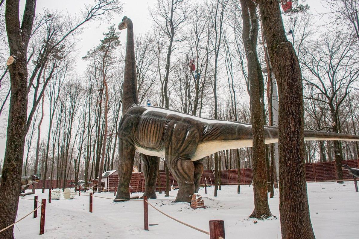 Keress egy kutyát a hóban 10 másodperc alatt / Moje kollázs