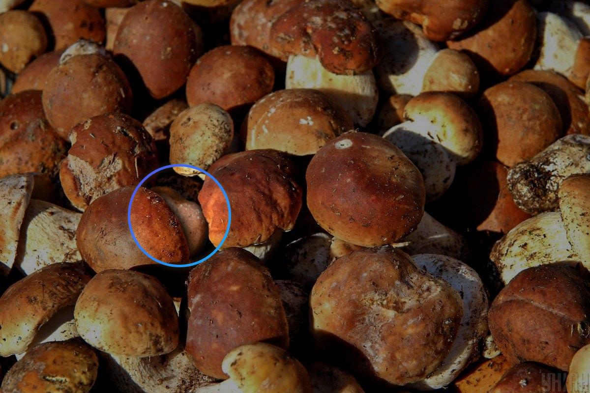 A kő majdnem az optikai illúzió közepén volt / Moje kollázs