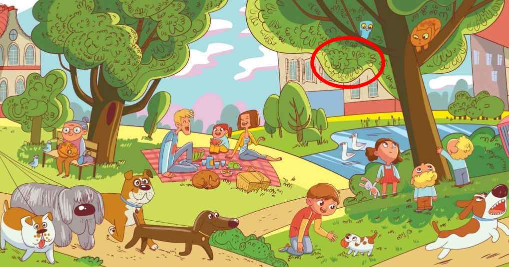 Ezt a feladatot csak kevesen tudják megoldani: 6 másodperc alatt kell megtalálni az oroszlánt a parkban.