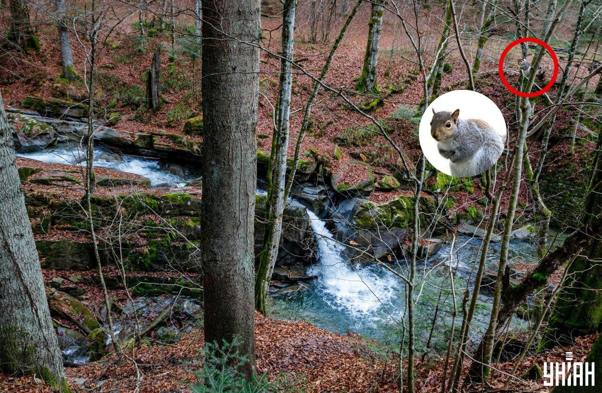 Moje kollázs, Moje fotó, Nemes Janosz