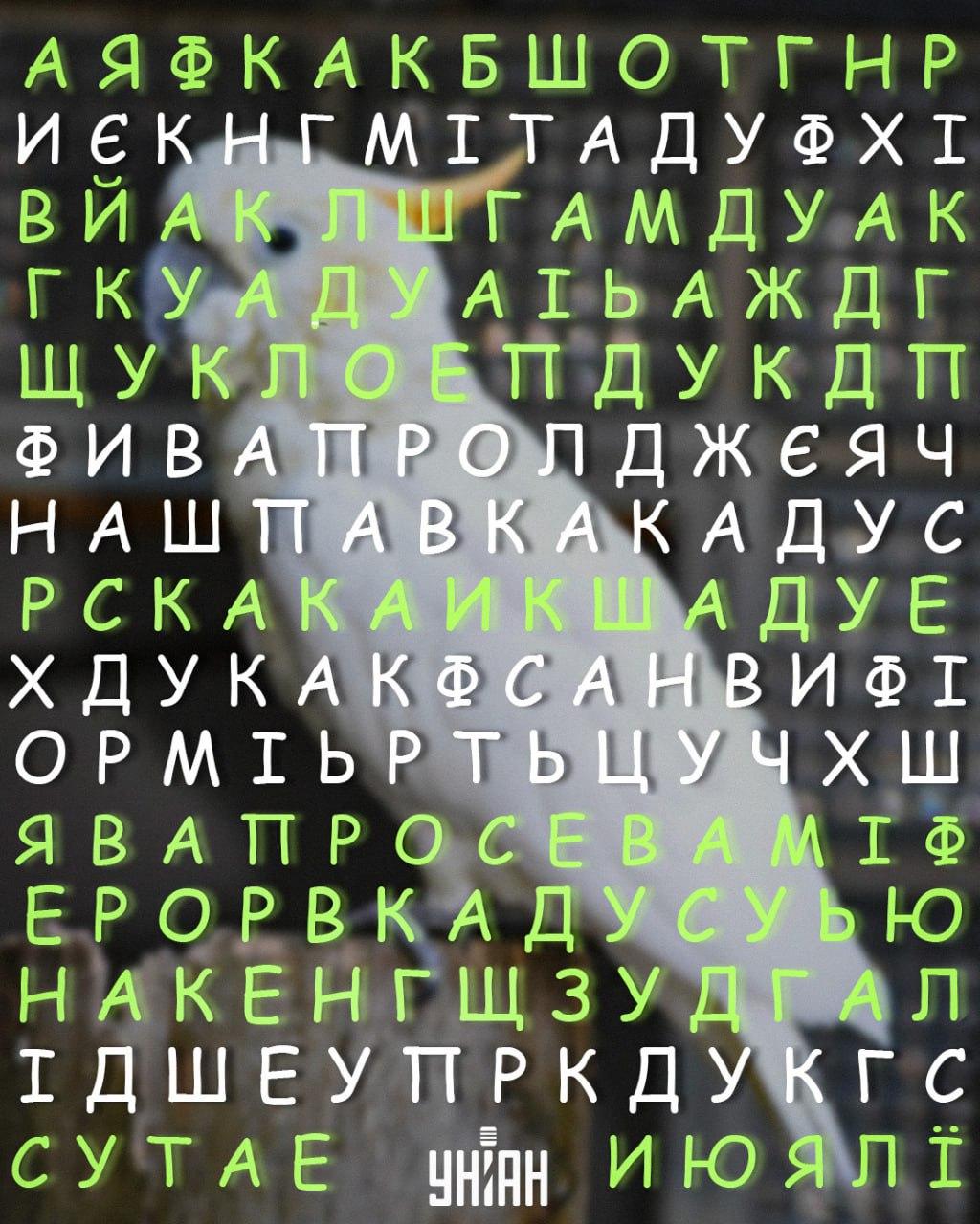 Moje kollázs Moje kollázs