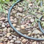 Érdekes IQ teszt: próbáld meg megtalálni az elrejtett békát mindössze 5 másodperc alatt Érdekes IQ teszt: próbáld meg megtalálni az elrejtett békát mindössze