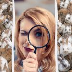 Mindenki lát nyulakat, de neked 3 macskát kell találnod 12 másodperc alatt: egy elképesztő optikai csalódás Mindenki lát nyulakat, de neked 3 macskát kell találnod 12