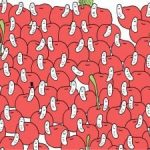 Rejtvény sasszeműeknek: 30 másodperc alatt találj egy cseresznyét kukac nélkül Rejtvény sasszeműeknek: 30 másodperc alatt találj egy cseresznyét kukac nélkül