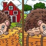 Szuper IQ teszt: találj 3 különbséget a süni képeken 25 másodperc alatt Szuper IQ teszt: találj 3 különbséget a süni képeken 25